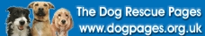 Give a dog a home!  For details of national dog rescue centres throughout the U.K., contact the Dog Rescue Pages - http://www.dogpages.org.uk
