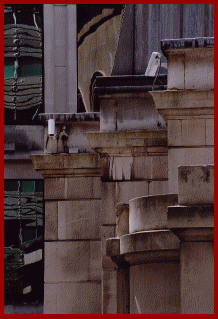 So would you like to play "Spot the CCTV Camera?". Eagle eyed visitors may recognise the profusion of street furniture, surrounding a single heritage dome camera keeping watch over part  of Londons' prestigious Oxford Street shopping area.