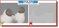 Pentaxpair